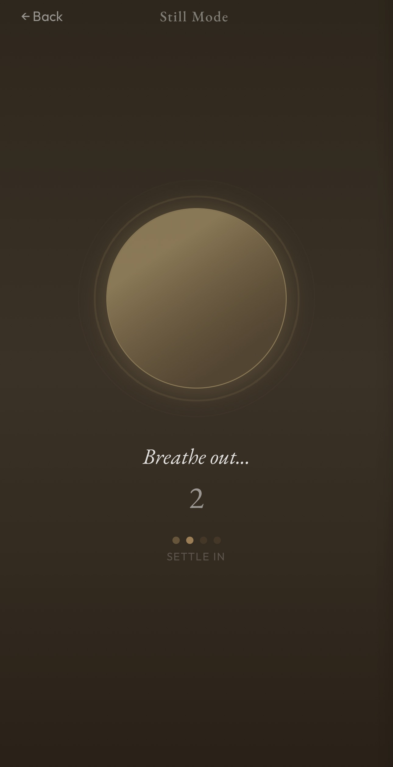 Screenshot of the Still Mode feature in the Still app